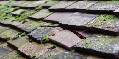 Nymspfield roof repair costs